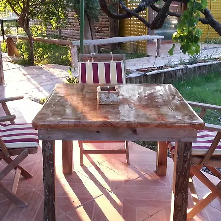 Sun & Yeni Adet Organic
