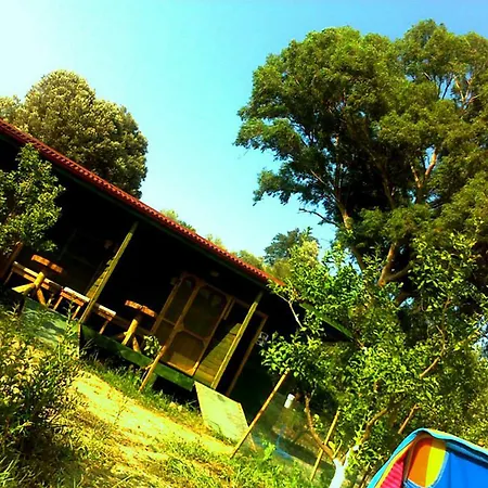 Sun & Yeni Adet Organic 4* Dalyan