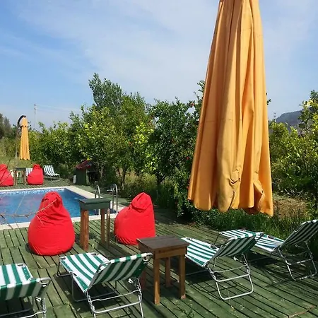 Sun & Yeni Adet Organic Hotel