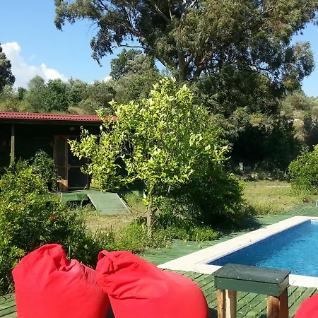 Sun & Yeni Adet Organic 4* Dalyan