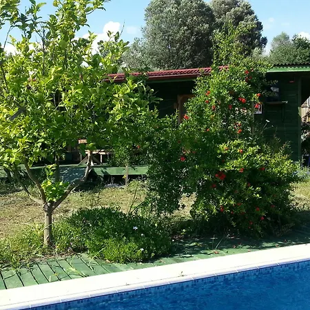 Sun & Yeni Adet Organic