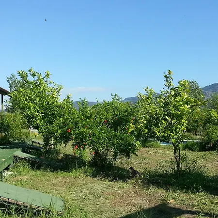 Hotel Sun & Yeni Adet Organic