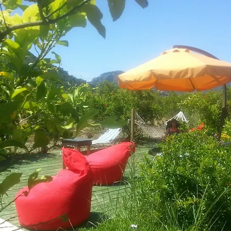 Sun & Yeni Adet Organic 4* Dalyan