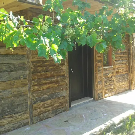 Sun & Yeni Adet Organic Dalyan