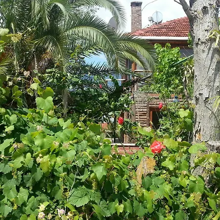 Hotel Sun & Yeni Adet Organic Dalyan