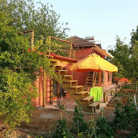 Sun & Yeni Adet Organic 4* Dalyan