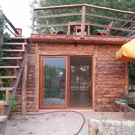Sun & Yeni Adet Organic 4*