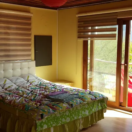Hotel Sun & Yeni Adet Organic 4*