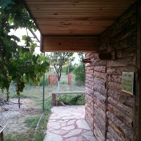 Sun & Yeni Adet Organic 4*