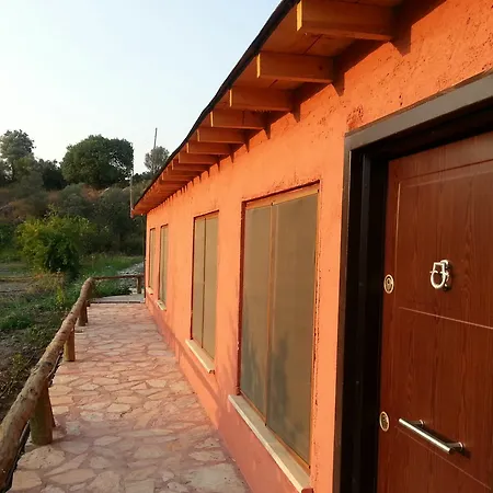 Sun & Yeni Adet Organic 4* Dalyan