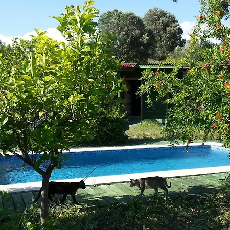 Hotel Sun & Yeni Adet Organic