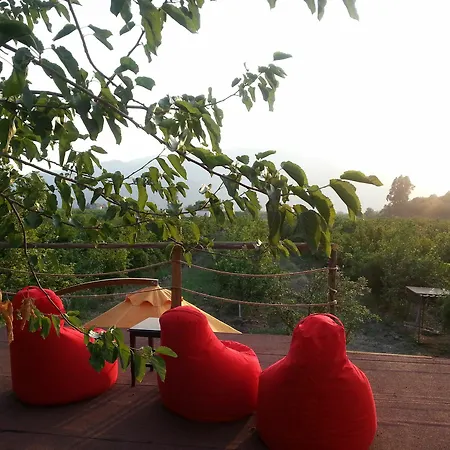 Sun & Yeni Adet Organic Hotel Dalyan