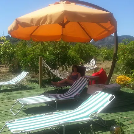 Sun & Yeni Adet Organic